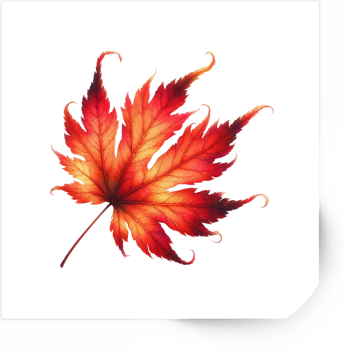 Autumn Maple Leaf Sticker | Red Orange Fall Foliage Vinyl Decal | Nature Lover Gift
